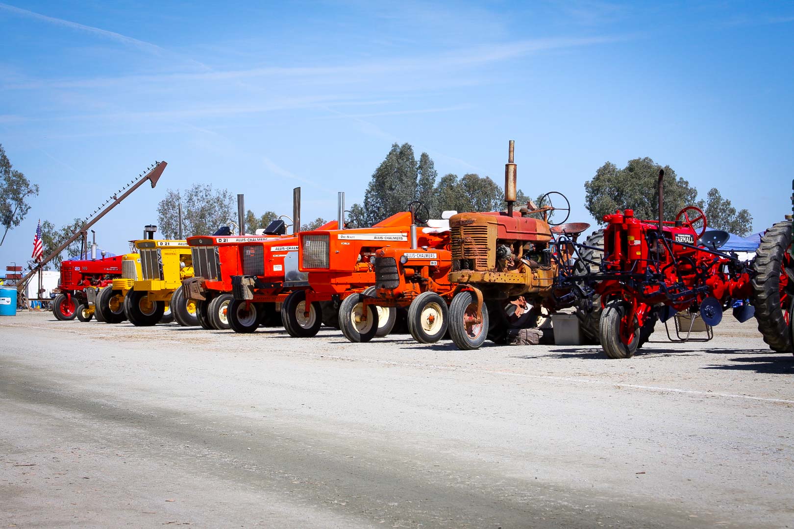 Line of Antique Tractors 